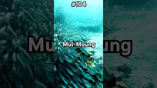 1분 물멍 UnderWater ASMR   #shorts