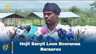 Hojii Sanyii Loon Booranaa Baraaruu