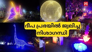 ദീപ പ്രഭയിൽ മുങ്ങിയ നിശാഗന്ധി | #newyear2025 #keralatourism #nishagandi #lightshop #malayalamonlive