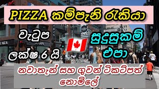 🇨🇦 නවාතැන් සහ ගුවන් ටිකට්පත් නොමිලේ. කැනඩා රැකියා.වැටුප ලක්ෂ 6 යි. අවු.18-60 foreign jobs in canada