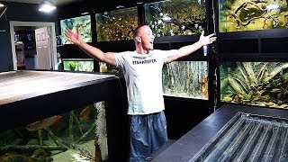 The king of DIY FISH ROOM TOUR! | The King of DIY