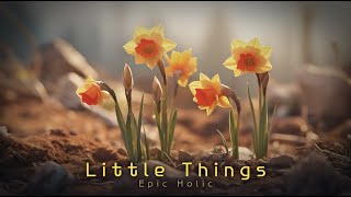 Little Things | Mysterious and beautiful fantasy orchestra | Fantasy Music