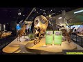 Perot Museum of Nature and Science Dallas Tour