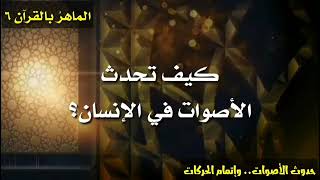 مقطع ممتع 🌹 كيفية حدوث الأصوات ❗كيفية خروج الحروف من جهاز النطق البشري 🌿 اعرف مخرج كل حرف بسهولة 👍