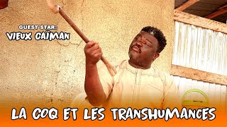 ELIFAZ - LA COQ ET LES TRANSHUMANCES (Guest star VIEUX CAÏMAN)