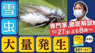 【北海道ニュース24weekend 】「『雪虫』大量発生！なぜ多い？専門家が徹底解説！これを見ればあなたも雪虫マスター☆彡」！10月27日配信アーカイブ
