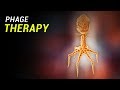 Phage Therapy: How does it work?