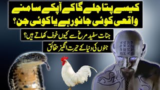 Unknown Facts About World Of Jinnat Mentioned in Quran !!