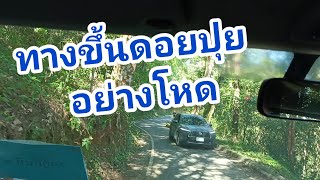 ทางขึ้นดอยปุย อย่างโหด