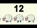 sleeping sheep count | cartoon animation | hs 3d models