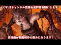 【mtgアリーナ】大天使の評価爆上げ 天使1枚で逆転可能のマルドゥミッド！ スタンダード 【mtg arena magic the gathering】