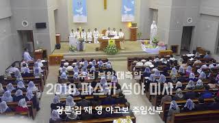 2018 파스카 성야 미사 4-강론(김재영야고보 주임신부님 )