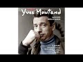 yves montand rue saint vincent rose blanche