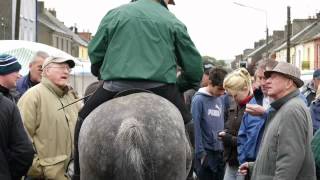 Buttervant Horse Fair