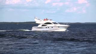 Fairline Phantom 43