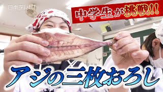 アジの三枚おろしに中学生が挑戦！（宮崎県日南市）