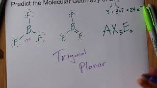 Predict the molecular geometry of BF3 (boron trifluoride)