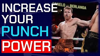 5 Exercises to INCREASE Punch Power