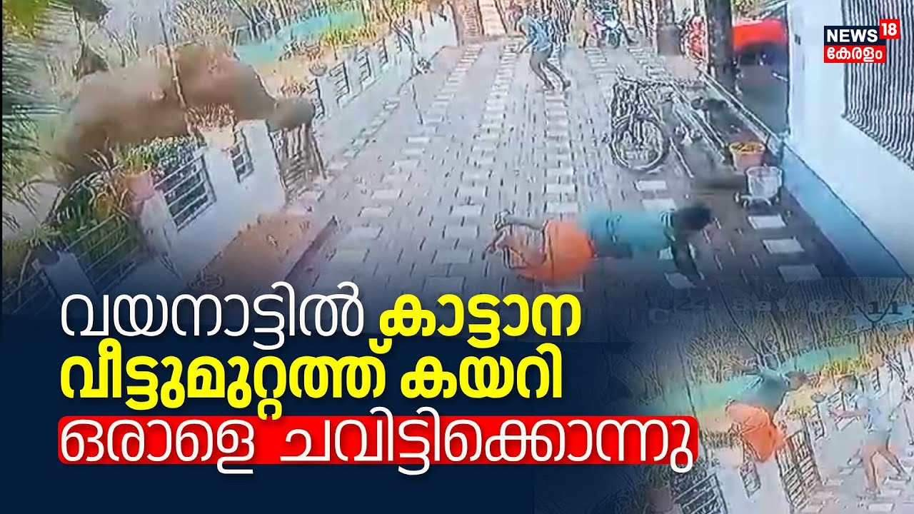 Wild Elephant Attack Wayanad | വയനാട്ടിൽ കാട്ടാന വീട്ടുമുറ്റത്ത് കയറി ...