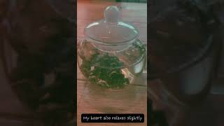 Jasmine Tea Ippuku