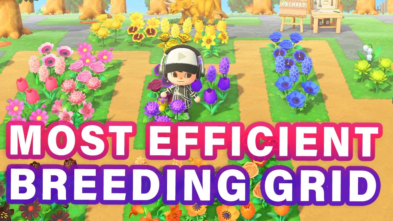 The MOST EFFICIENT Flower Breeding Grid | Diamond Grid Animal Crossing ...