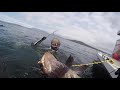 vancouver island spearfishing 2019 british columbia canada