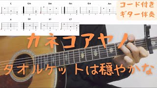 【ギターコード付き】カネコアヤノ/タオルケットは穏やかな【アコギ弾いてみた】