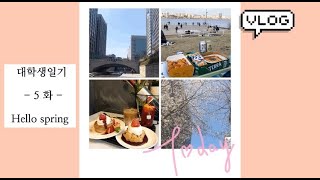 사망년의 일상로그 Korean uni vlog - hello spring(안녕 봄)