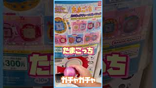 【たまごっち】ミニチュアチャームコレクション３♡ガチャガチャ