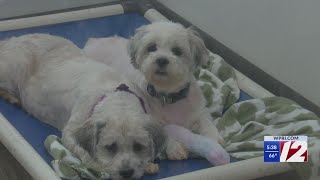 East Providence vet clinic finds new owner