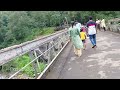 nedumkayam rain forest nilambur നെടുങ്കയം nilambur youtube travel