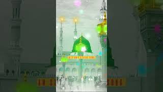 Karamat-e-hazrat ali.. qwwali tasleem arif #islamicvideo #islamicstatus #religion