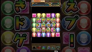 【パズドラ】こいつは最強！？ワンパンマンコラボガチャ    #パズドラ  #コラボガチャ  #ワンパンマン