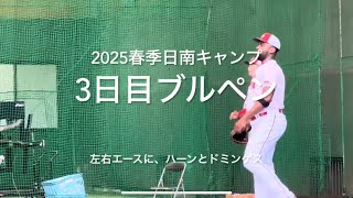 左右の開幕候補のエースに、抑えのハーンに新外国人ドミンゲス豪華だ！！【2025.2.3春季日南キャンプ3日目】#広島カープ#2025春季日南キャンプ#天福球場#ブルペン#ドミンゲス