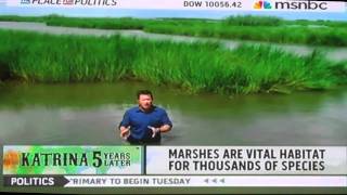 MSNBC: Importance of Coastal Wetlands in the Gulf