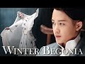 Chen Renxiang ※ Tan Jian Ci 【MV Winter Begonia ● Зимняя Бегония ● 鬓边不是海棠红】