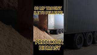 ILE POTRZEBA TROCINY ABY WYPRODUKOWAĆ 24 TONY PELLETU #pellet #produkcja #tartak #pelet #biomasa