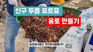 신구 두릅 포트묘 용토 만들기