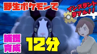 制限時間内に捕まえろ！ インスタントダブルやります【ポケモン剣盾】【ダブルバトル】