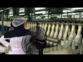 abroad installation and gloves manufacture process