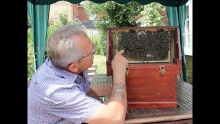 Beekeeping  - Observation hive transfer