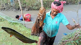 জীবন বাজি রেখে বিশাল শিং মাছ ধরল বাবা 😱জাল ভর্তি হয়ে গেল। bangla fishing video