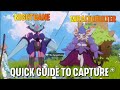 miraibo Go :- quick guide to capture nightbane+ wraithbulter in island