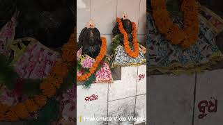 Bhadrakali Temple | ନବଗ୍ରହ ଦର୍ଶନ  🙏 नवग्रह शांति मंत्र  #bhdrakali #maa #graham #shortsfeed #shorts