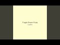 Fragile Dream Pulse