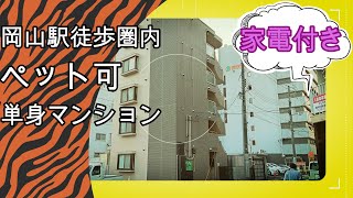 【希少なペット可】岡山駅徒歩圏内の家電付き単身マンションのご紹介です。【ブランシュ柳町】