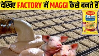 देखिए Factory में Maggi कैसे बनती है | Factory Mein Maggi Kaise Banti Hai | Maggie Noodles