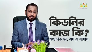 কিডনির কাজ কি? bangla health tips | অধ্যাপক ডা. এম এ সামাদ | কিডনি রোগের চিকিৎসা