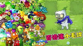 PvZ：盘点所有10000级植物，究竟谁能抵挡百倍速小毛球的疯狂冲刺？【豆姐说游戏】