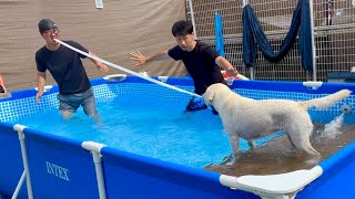 待ったなし！天才対決！忠犬ベルvs忠人タケ田中